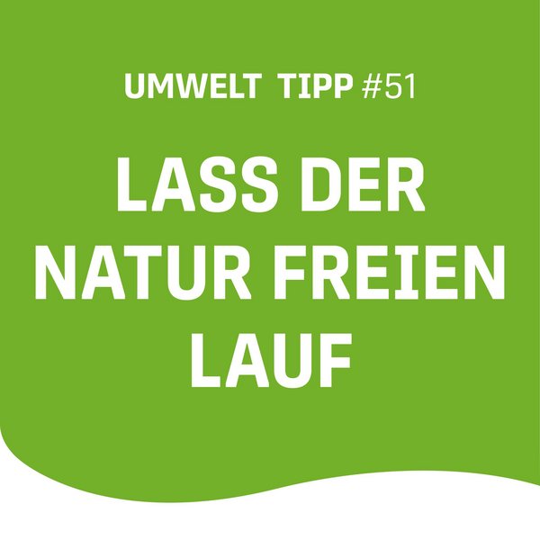 Im Herbst wird es langsam Zeit, den Garten für den Winter vorzubereiten – und das geht ganz entspannt. Statt alles...