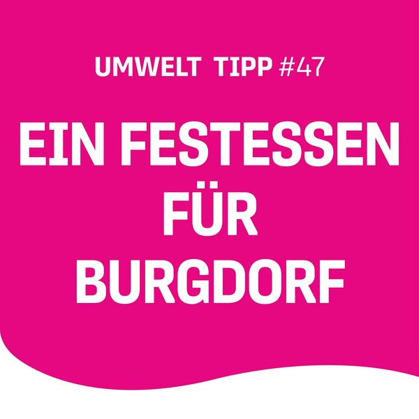 Das 2. Burgdorfer Foodsave-Bankett vom 6. September lädt ab 17 Uhr alle zu einem einzigartigen Festessen auf der...