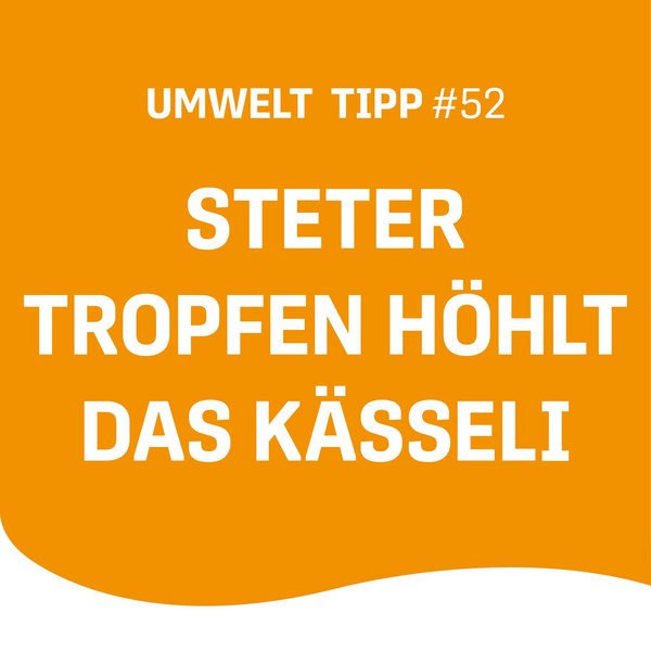 Ein vor sich hin tropfender Wasserhahn oder ein undichter WC-Spülkasten sind nicht nur nervig, sondern kosten auch bares...